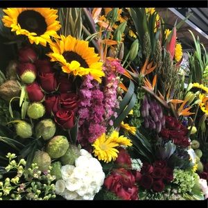 Meet your Posher, Catia